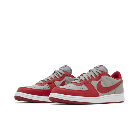 Nike Terminator Low UNLV