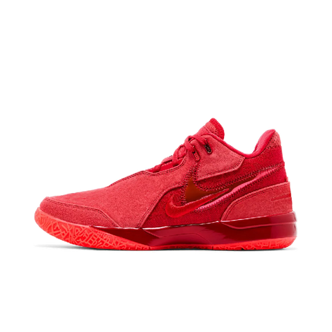 Nike Zoom LeBron NXXT Gen James Gang
