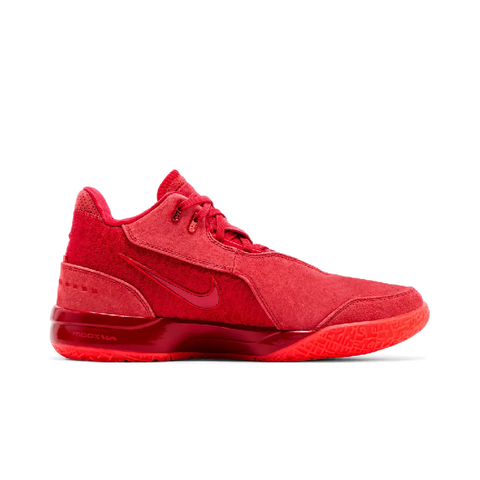Nike Zoom LeBron NXXT Gen James Gang